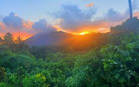 Island Paradise Bungalows